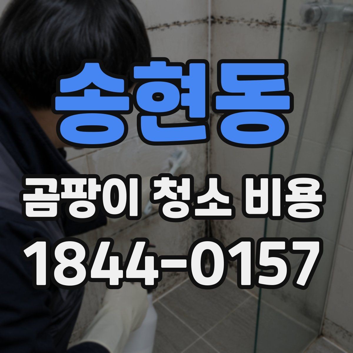 송현동 곰팡이 청소 비용 상담 전 확인해야 할 항목