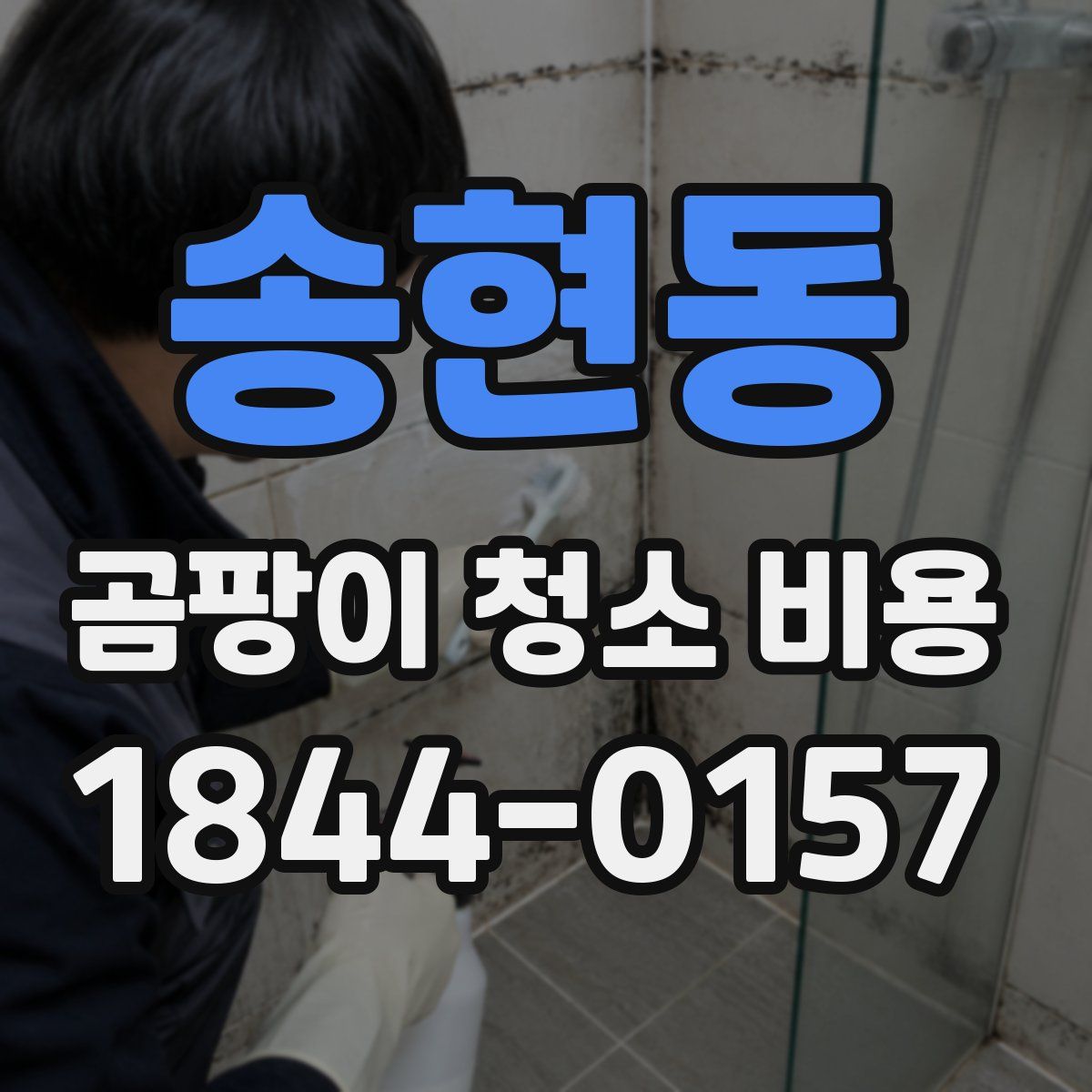 송현동 곰팡이 청소 비용