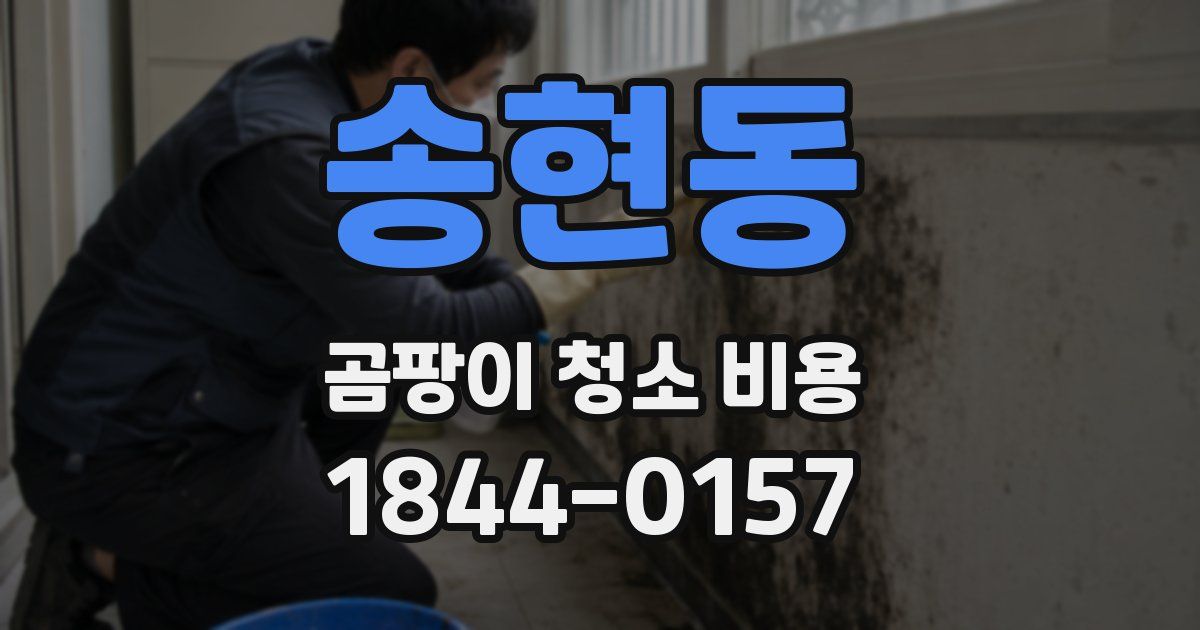 송현동 곰팡이 청소 비용