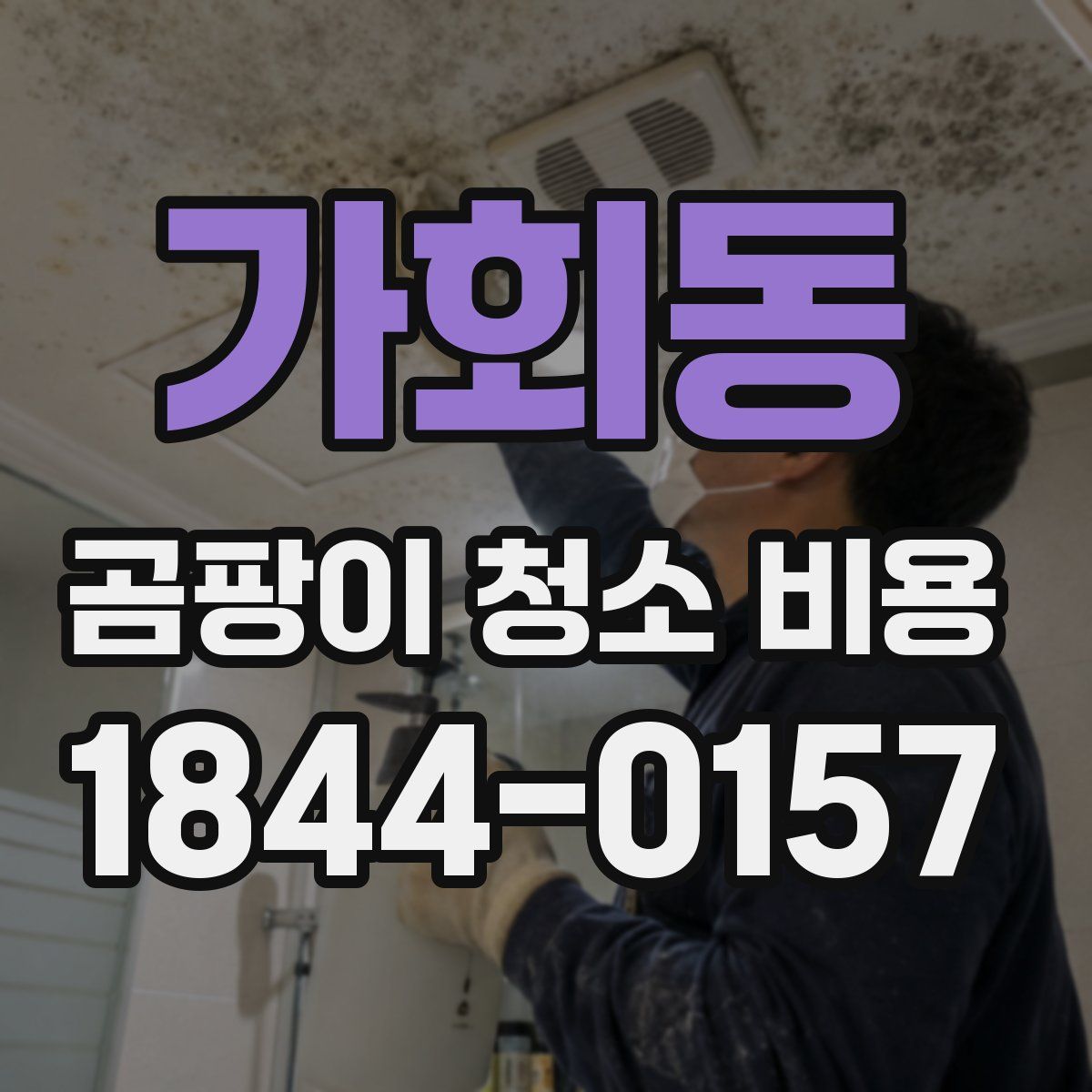 가회동 곰팡이 청소 비용