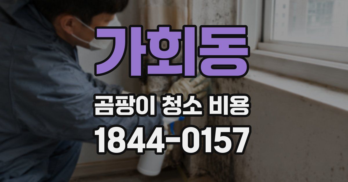 가회동 곰팡이 청소 비용