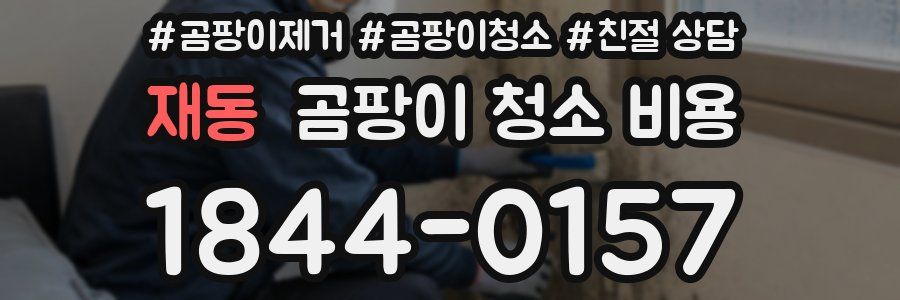 재동 곰팡이 청소 비용