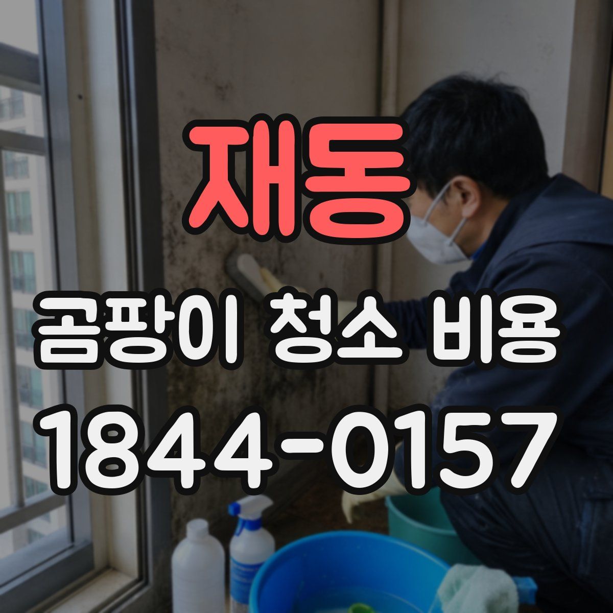 재동 곰팡이 청소 비용