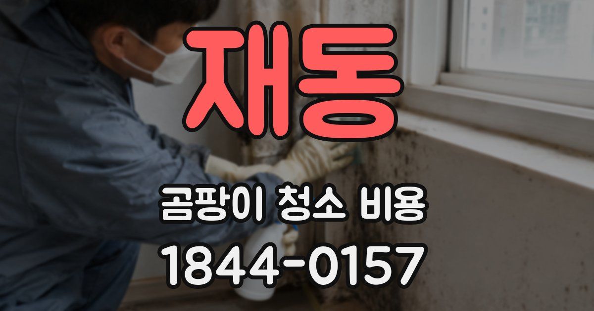 재동 곰팡이 청소 비용