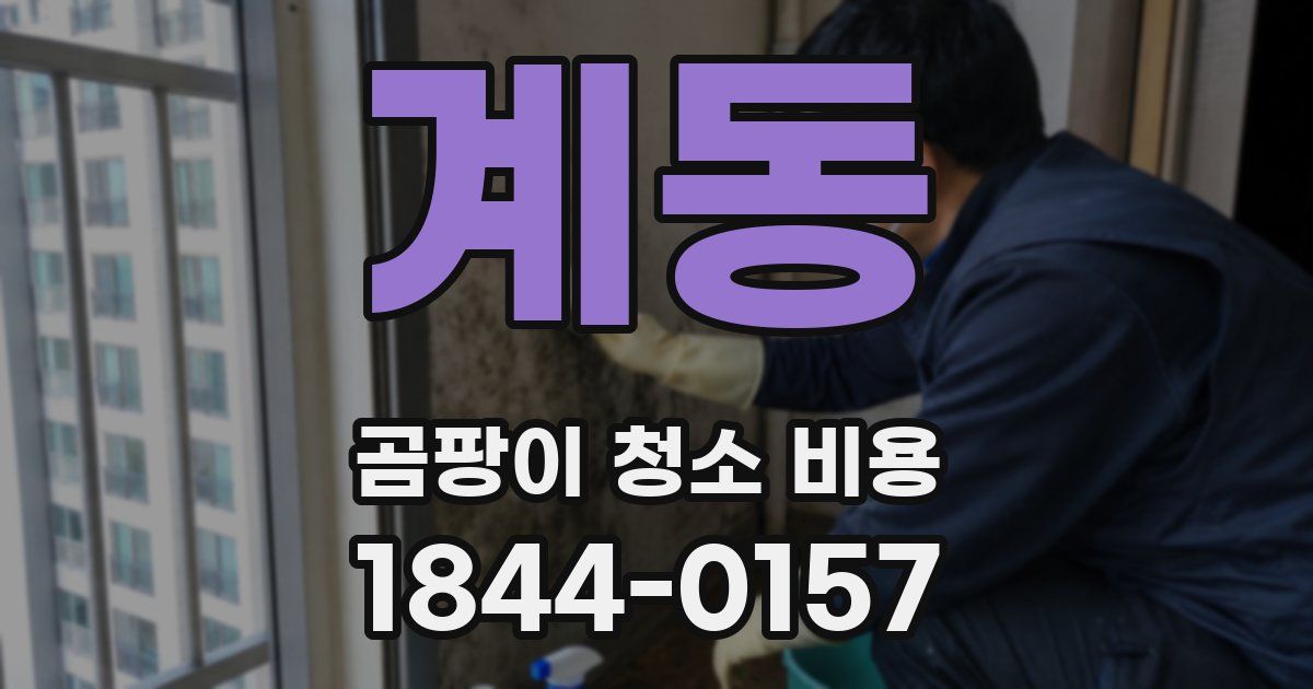 계동 곰팡이 청소 비용