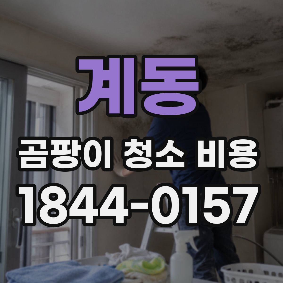계동 곰팡이 청소 비용