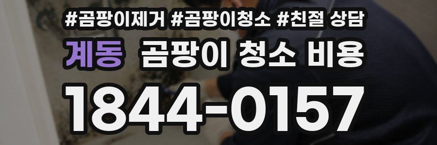 계동 곰팡이 청소 비용