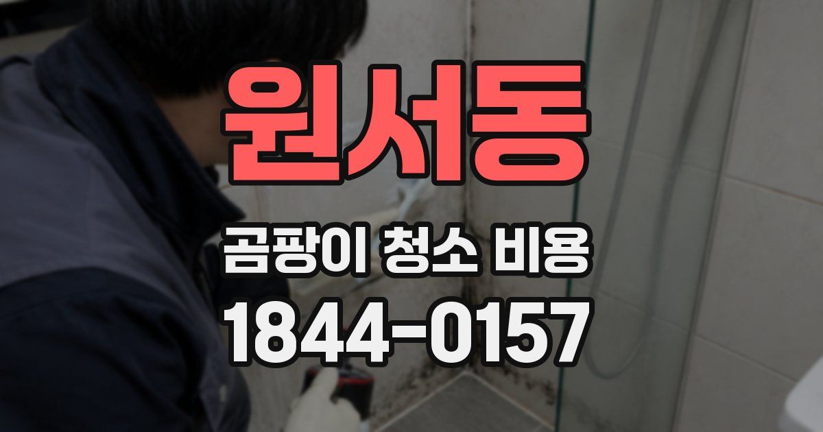 원서동 곰팡이 청소 비용