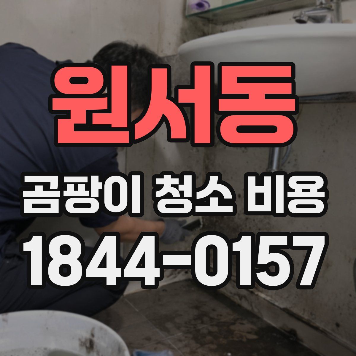 원서동 곰팡이 청소 비용
