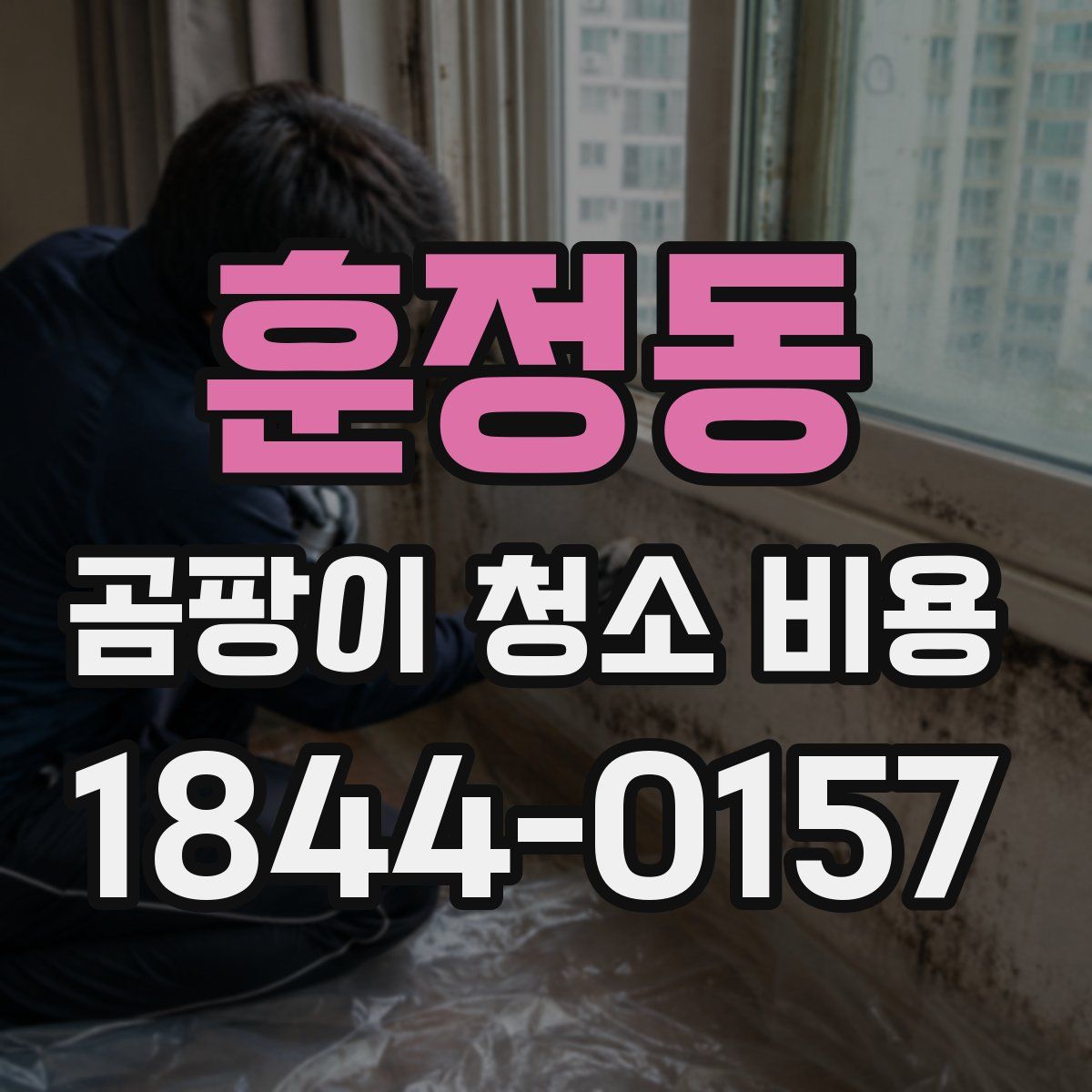 훈정동 곰팡이 청소 비용