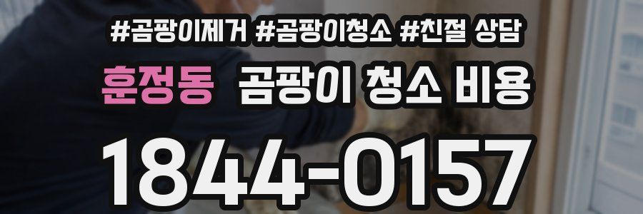 훈정동 곰팡이 청소 비용