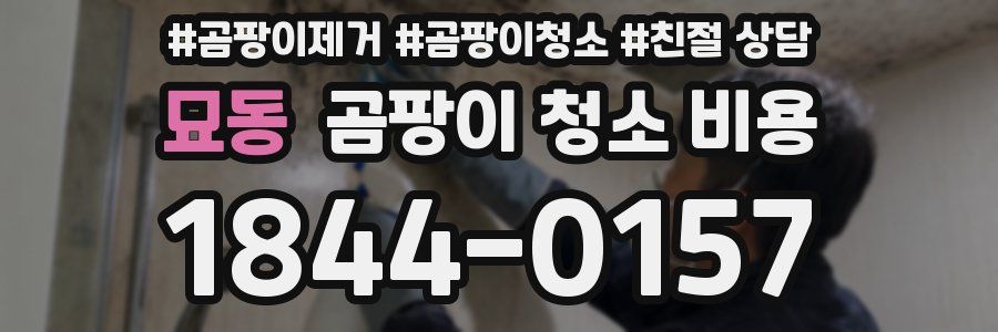 묘동 곰팡이 청소 비용