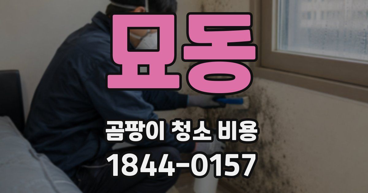 묘동 곰팡이 청소 비용