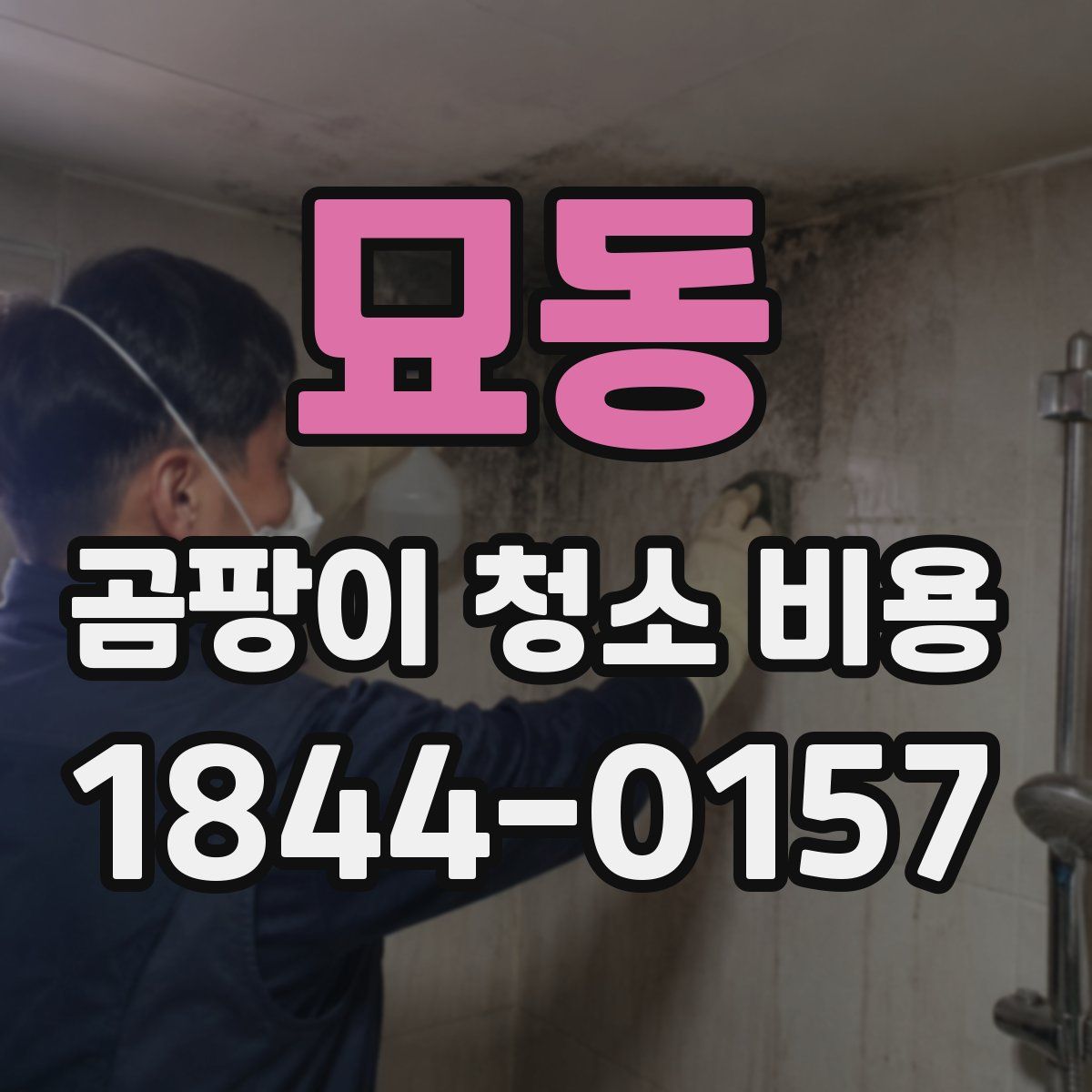 묘동 곰팡이 청소 비용
