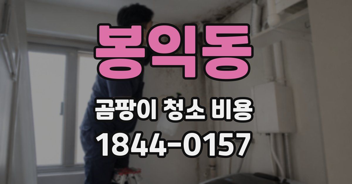 봉익동 곰팡이 청소 비용