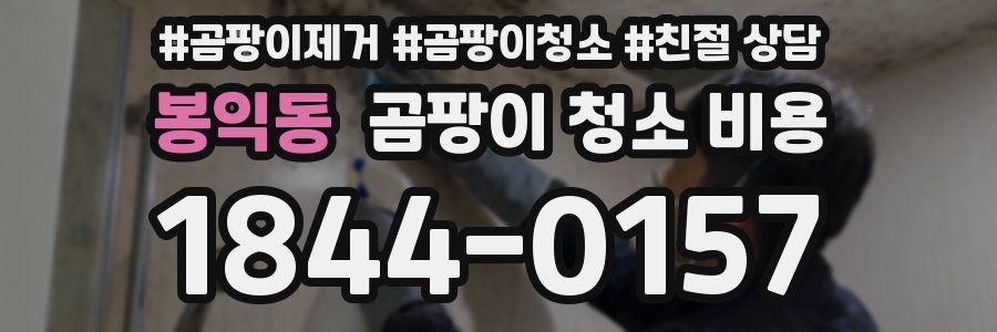 봉익동 곰팡이 청소 비용