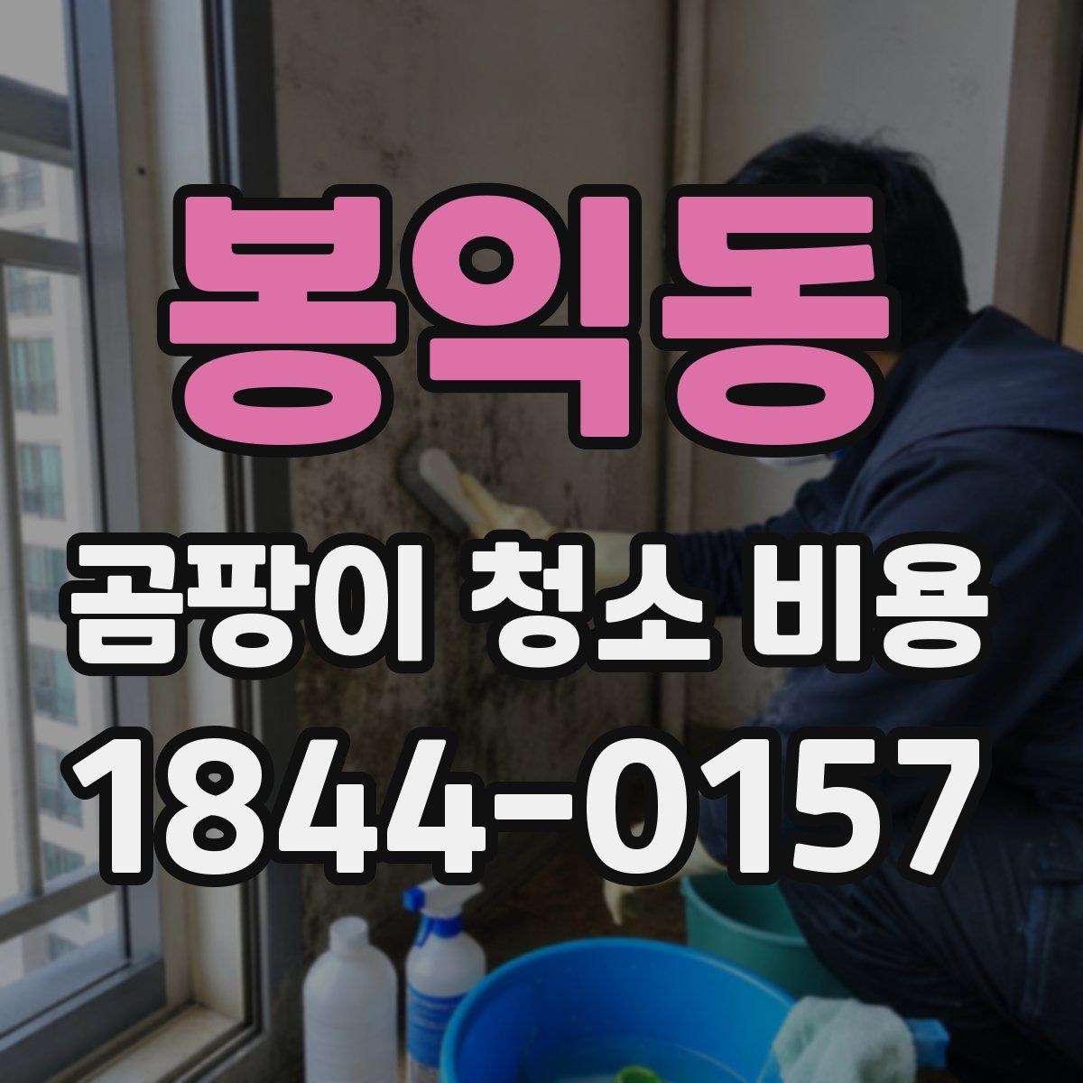 봉익동 곰팡이 청소 비용