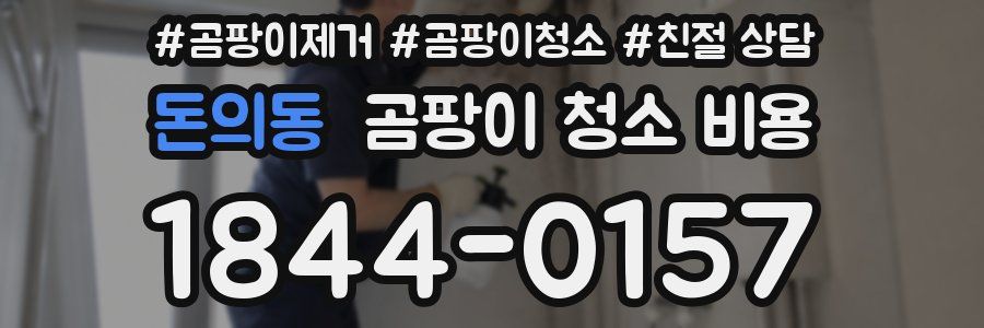 돈의동 곰팡이 청소 비용