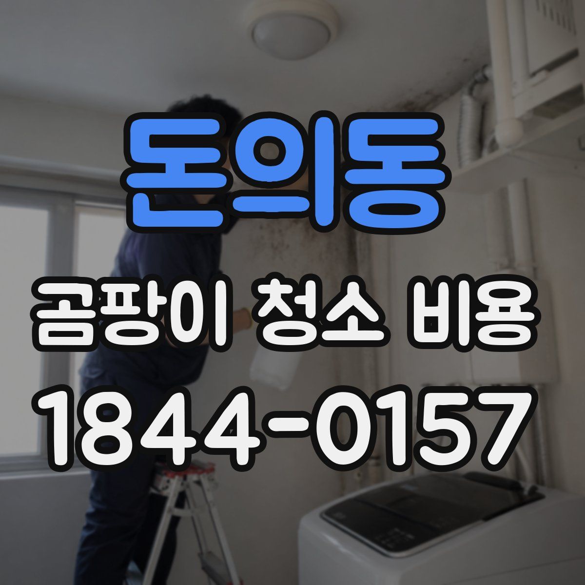 돈의동 곰팡이 청소 비용