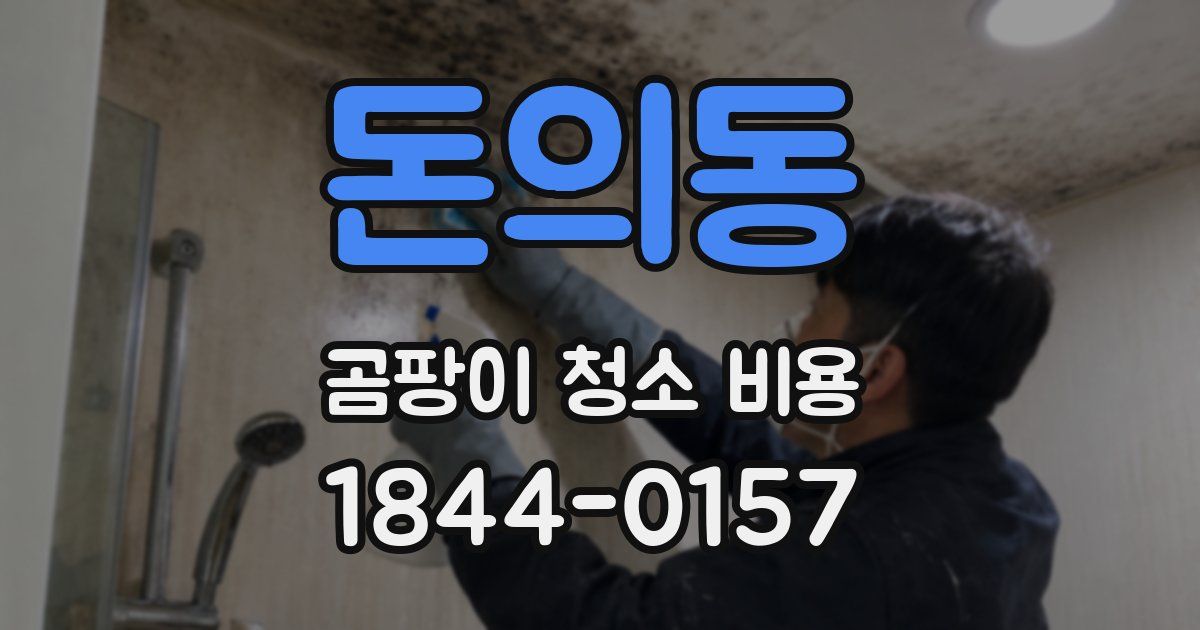 돈의동 곰팡이 청소 비용