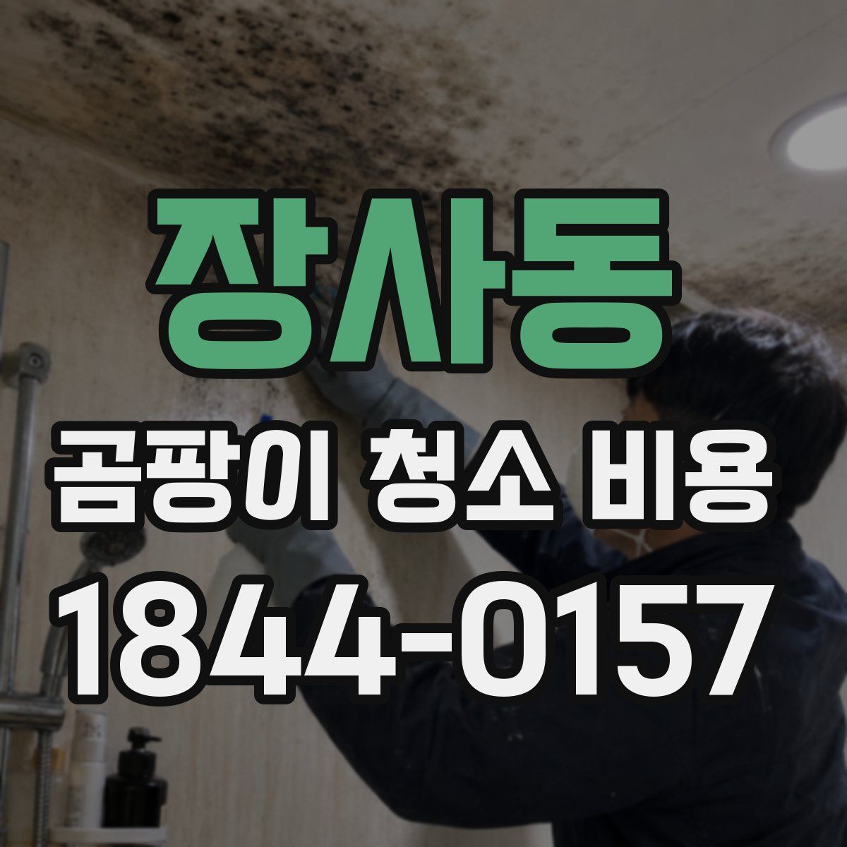 장사동 곰팡이 청소 비용