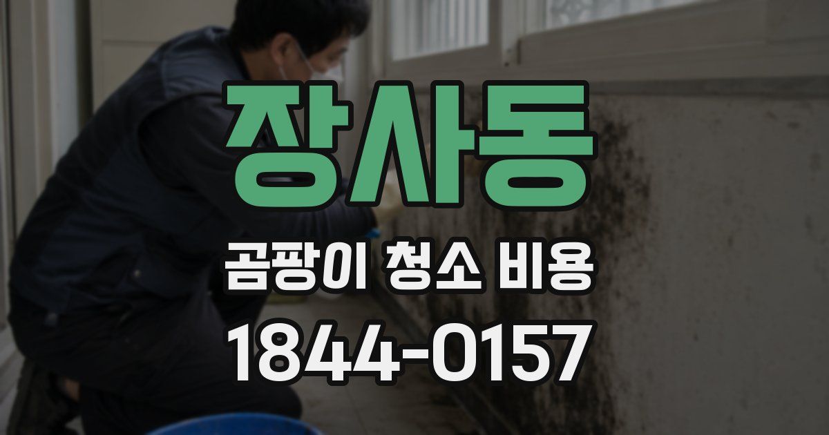 장사동 곰팡이 청소 비용