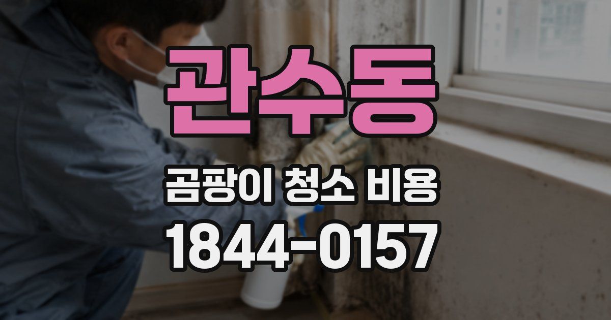 관수동 곰팡이 청소 비용