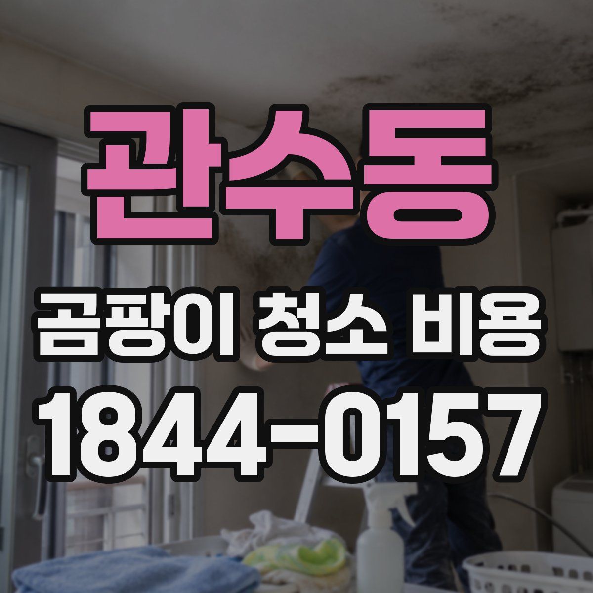관수동 곰팡이 청소 비용