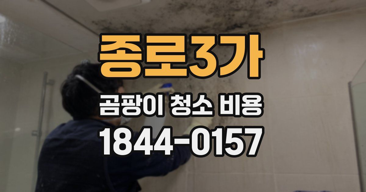 종로3가 곰팡이 청소 비용