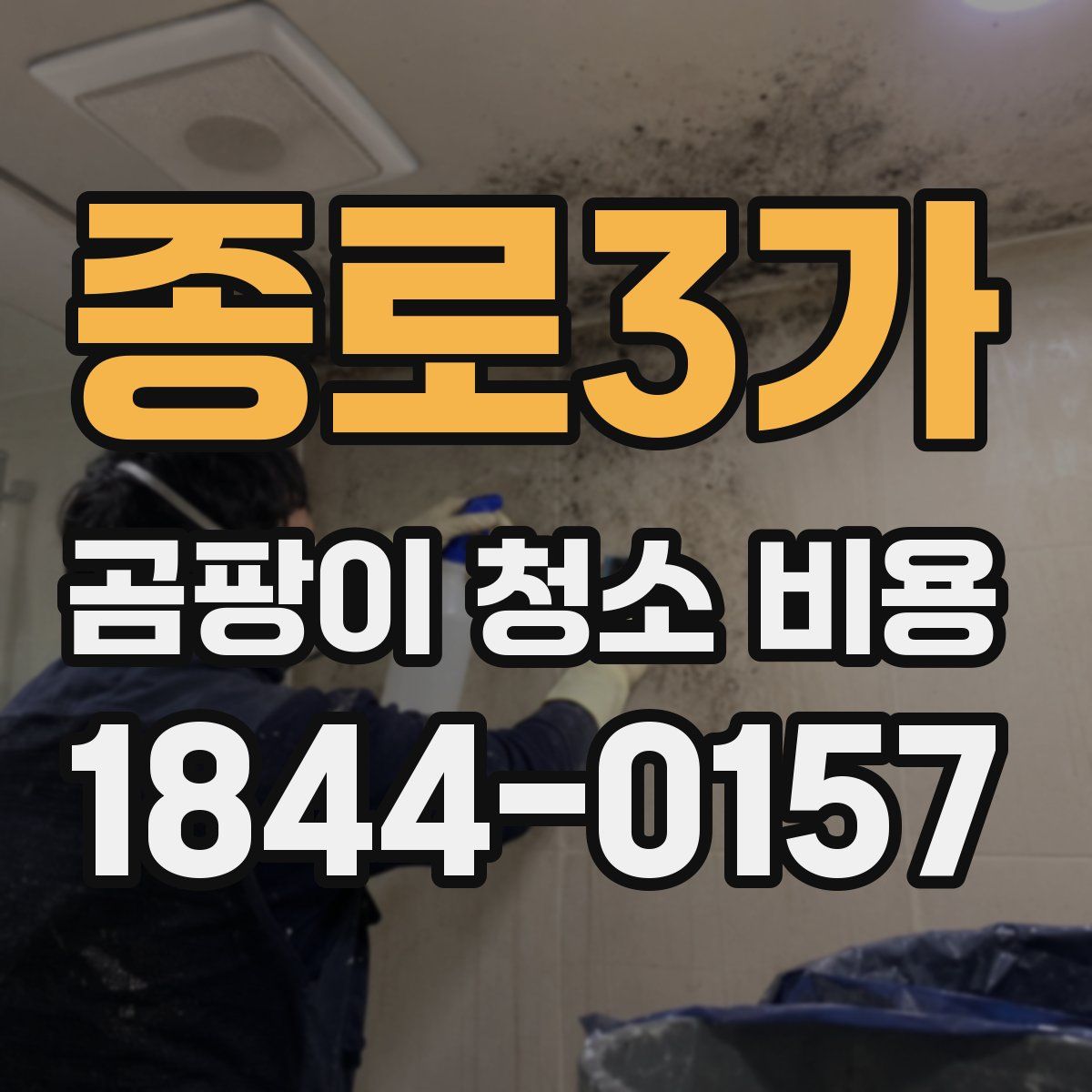 종로3가 곰팡이 청소 비용