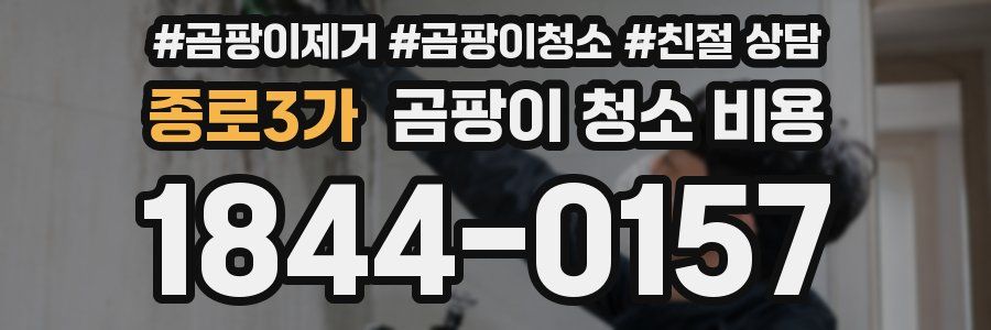 종로3가 곰팡이 청소 비용