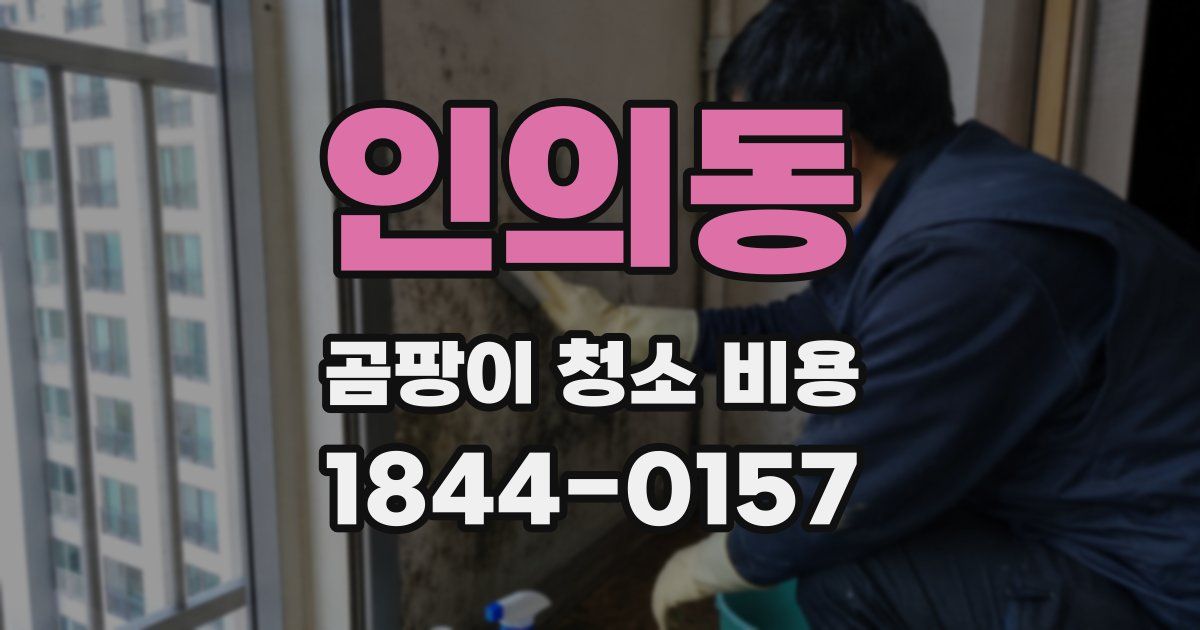 인의동 곰팡이 청소 비용