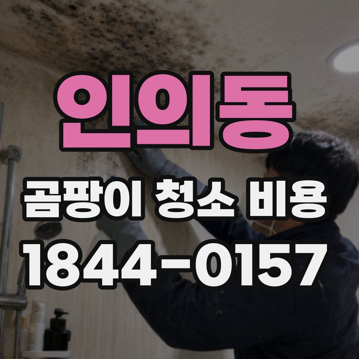 인의동 곰팡이 청소 비용