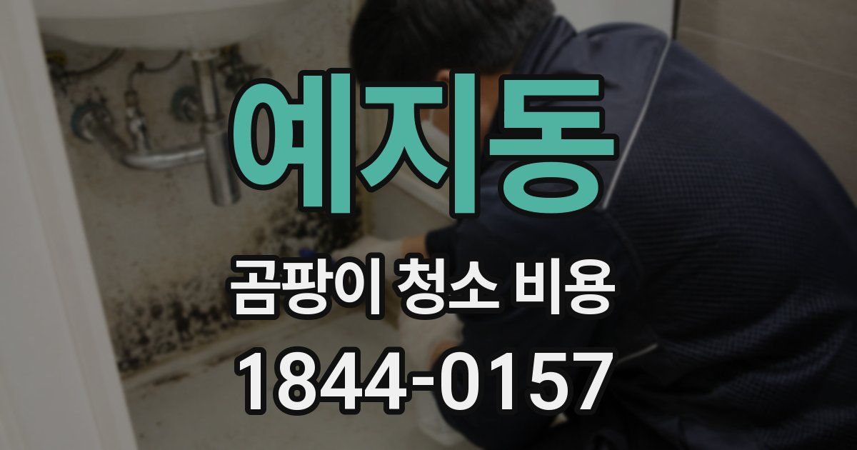 예지동 곰팡이 청소 비용