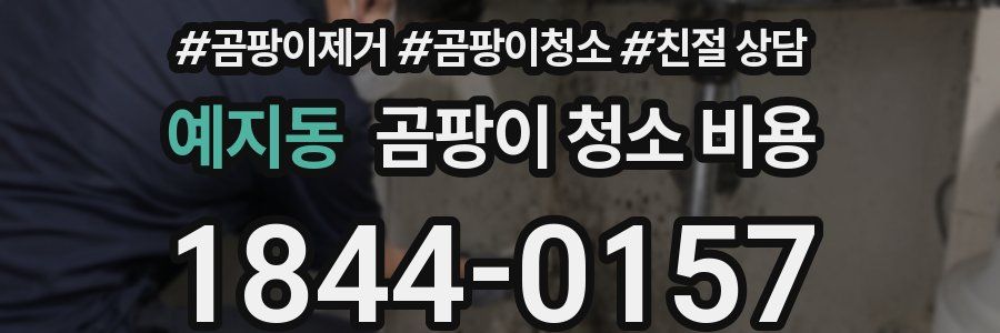 예지동 곰팡이 청소 비용
