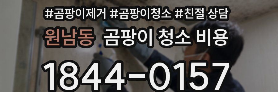원남동 곰팡이 청소 비용