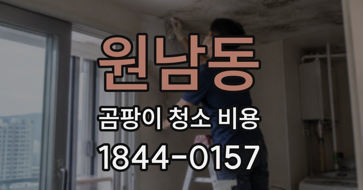 원남동 곰팡이 청소 비용