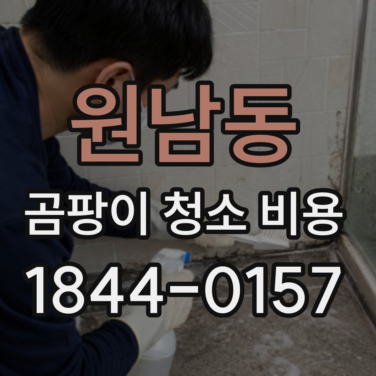 원남동 곰팡이 청소 비용