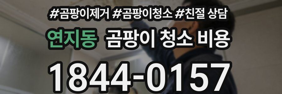 연지동 곰팡이 청소 비용