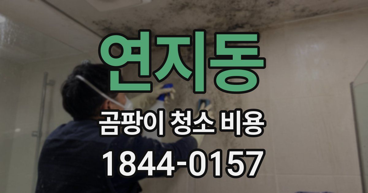 연지동 곰팡이 청소 비용