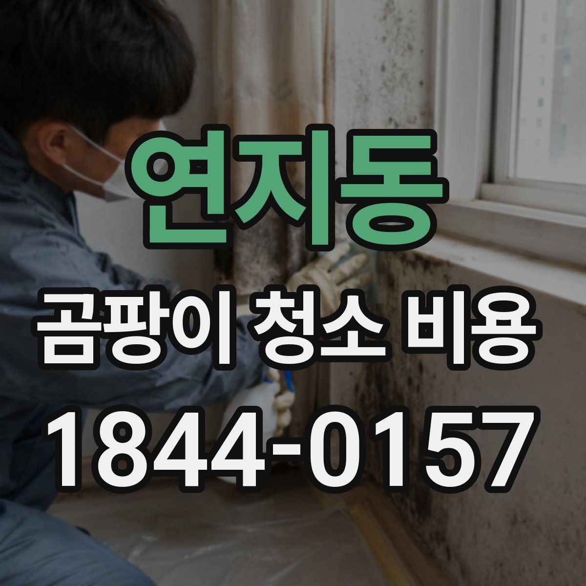 연지동 곰팡이 청소 비용