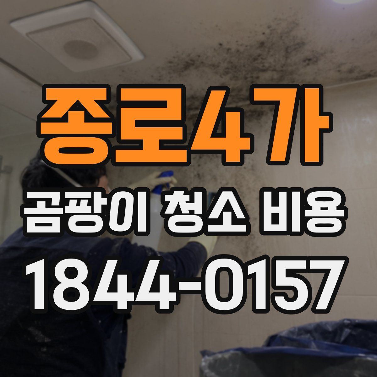 종로4가 곰팡이 청소 비용