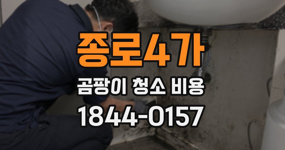 종로4가 곰팡이 청소 비용