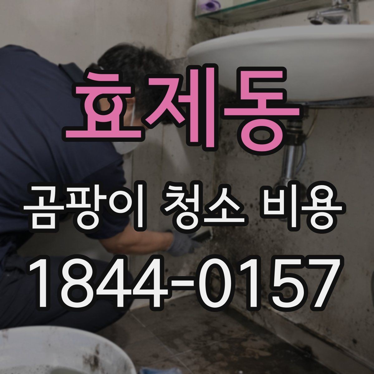 효제동 곰팡이 청소 비용 비교 전에 살펴볼 서비스 범위