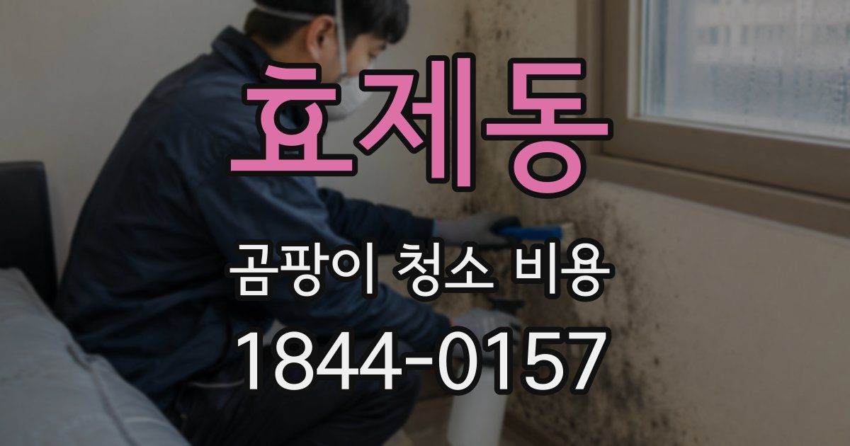 효제동 곰팡이 청소 비용
