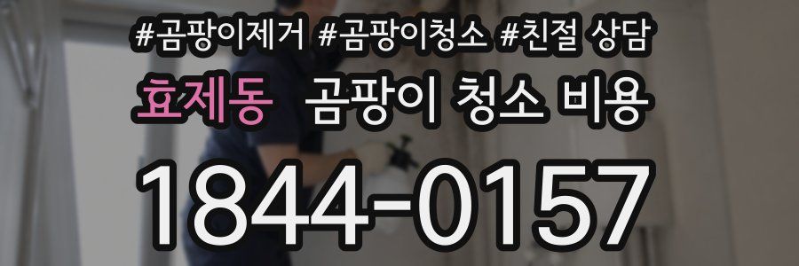 효제동 곰팡이 청소 비용