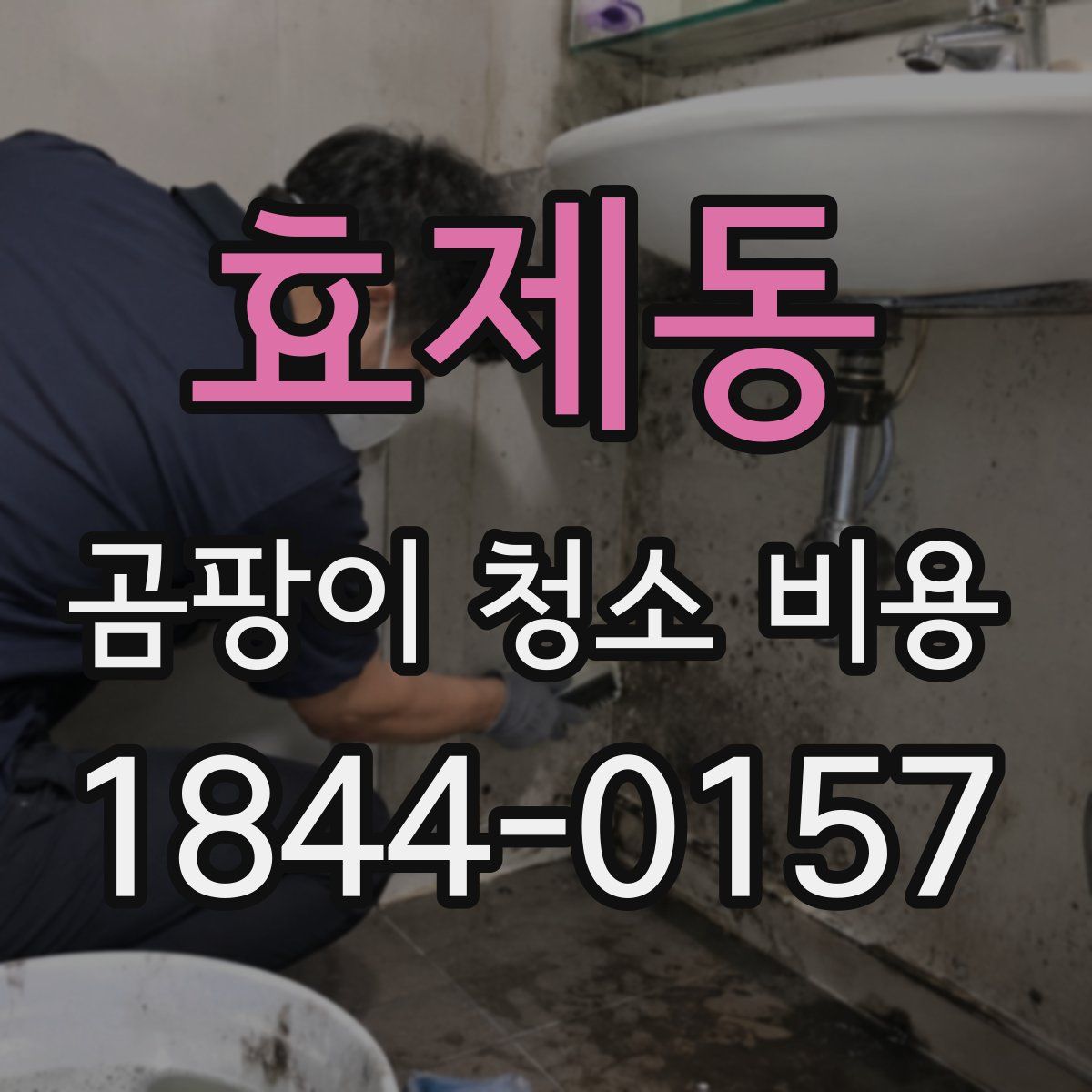 효제동 곰팡이 청소 비용