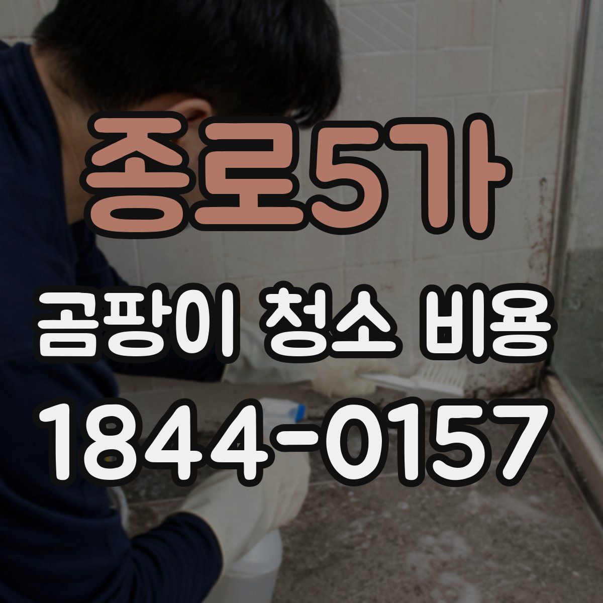 종로5가 곰팡이 청소 비용