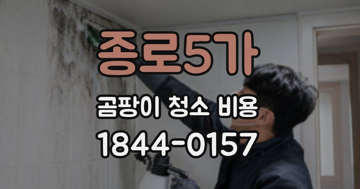 종로5가 곰팡이 청소 비용