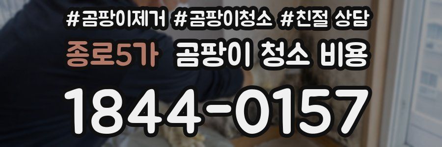 종로5가 곰팡이 청소 비용